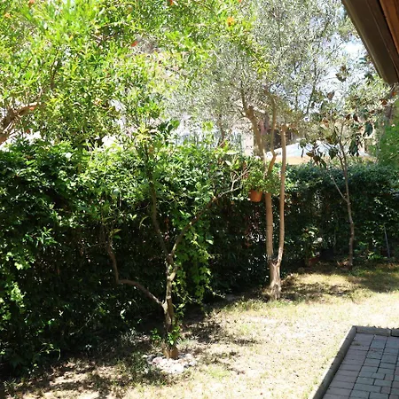 In Qerret - 100 M From The Golem (Tirana)