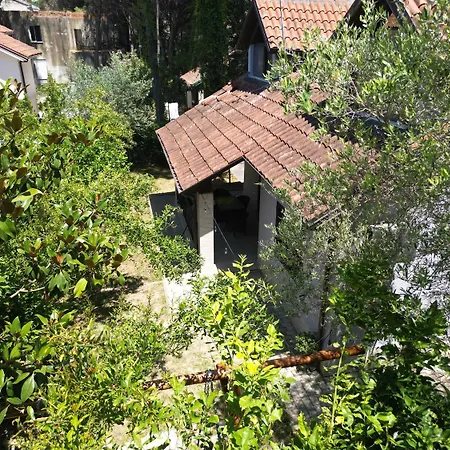 In Qerret - 100 M From The