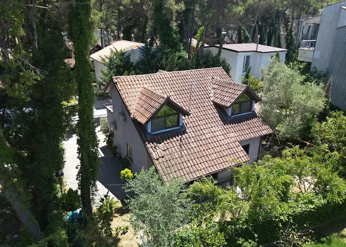 In Qerret - 100 M From The *